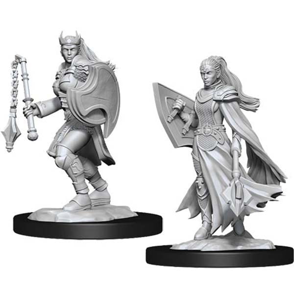 Wizkids D&D Nolzurs Marvelous Unpainted Miniatures Wave 14 Kalashtar ...