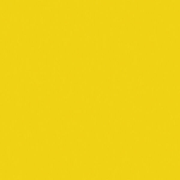 Createx Wicked Yellow W003-02